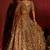 Brown Premium Soft Butterfly Net Lehenga Choli with Heavy Sequins Work For Women's