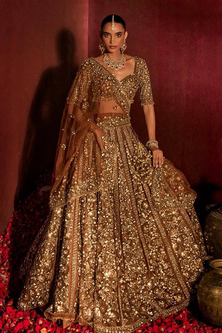 Brown Premium Soft Butterfly Net Lehenga Choli with Heavy Sequins Work For Women's