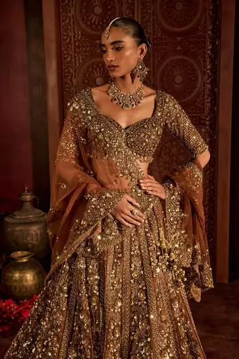 Brown Premium Soft Butterfly Net Lehenga Choli with Heavy Sequins Work For Women's