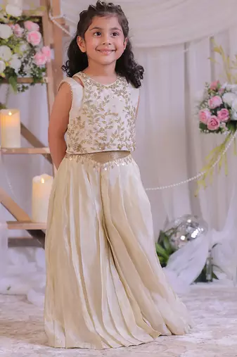 Beige embroidered shimmer silk palazzo set