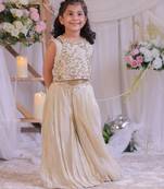 Beige embroidered shimmer silk palazzo set