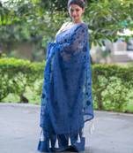 blue lagoon bliss embroidered kota doria saree