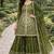 mehendi chinon festive kurta set
