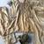 Gold fendy sequin embroidered salwar suit set with dupatta