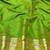 Green zari woven silk blend traditional saree with blouse piece