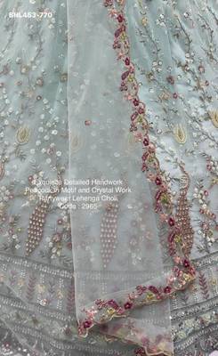 Light Sea Green Net Hand Woven Lehengas 4