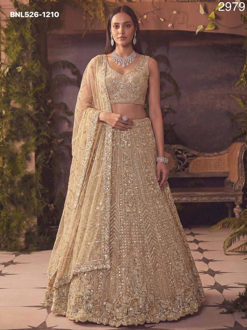 Beige Net Embroidered Lehenga Set