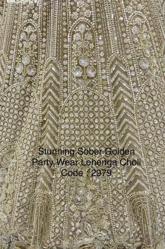 Beige Net Embroidered Lehenga Set