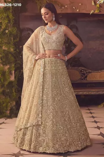 Beige Net Embroidered Lehenga Set