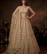 Beige Net Embroidered Lehenga Set