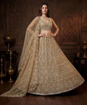 Beige Net Embroidered Lehenga Set 3
