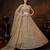 Beige Net Embroidered Lehenga Set