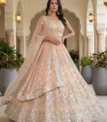 Light Peach Net Embroidered Lehenga Set