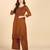 Women brown ethnic motifs embroidered chikankari liva rayon kurta palazzo set
