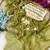 Mehndi Green Color embroidery sequence work  Silk Blend Saree