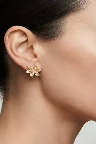 925 sterling silver Rose Gold Flower Diamond Stud Earrings