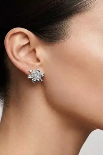 925 sterling silver Flower Diamond Stud Earrings