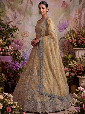 Royal Beige Zari Work Net Wedding Wear Lehenga Choli With Dupatta 2