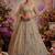 Royal Beige Zari Work Net Wedding Wear Lehenga Choli With Dupatta