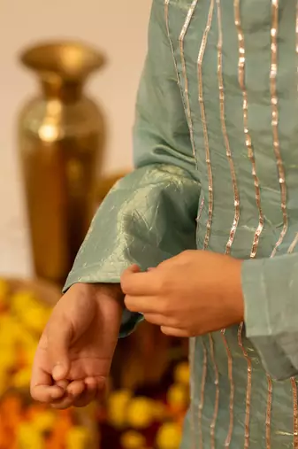 Sage green embroidered cosmos kurta set