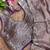Lavender Color  embroidery  sequence work satin  silk saree