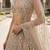 Designer Bollywood Style Wedding Wear Lehenga Choli