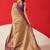 Golden woven silk blend ethnic saree with blouse piece