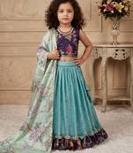 sky blue heavy chinon silk with embroidery sequence work with soft printed work - designer party wear