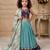 sky blue heavy chinon silk with embroidery sequence work with soft printed work - designer party wear