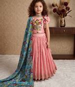 pink heavy chinon silk with soft printed work with dori - designer party wear