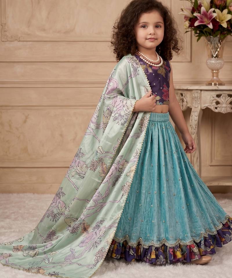 sky blue heavy chinon silk with embroidery sequence work with soft printed work - designer party wear