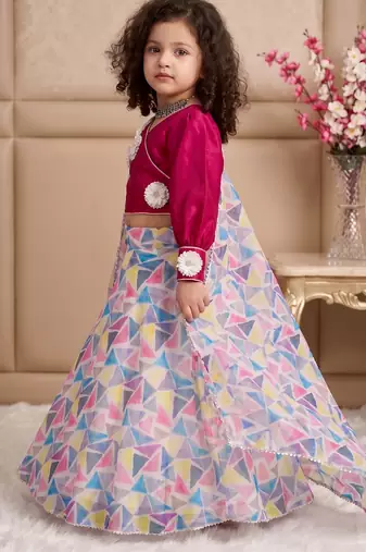 multi heavy pure soft organza with digital print work - designer party wear
