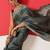 Teal woven silk blend ethnic saree with blouse piece