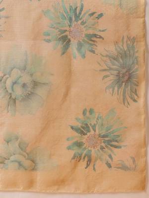 Beige printed tissue traditional saree with blouse piece 5