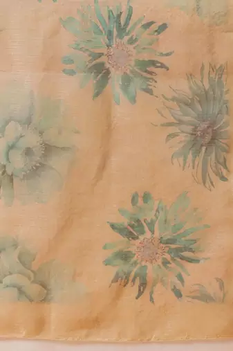 Beige printed tissue traditional saree with blouse piece
