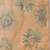 Beige printed tissue traditional saree with blouse piece