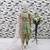 pista  heavy fox georgette salwar suit set with digital print work - designer party wear