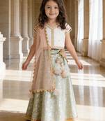 Blue And White Cotton Embroidered Lehenga 