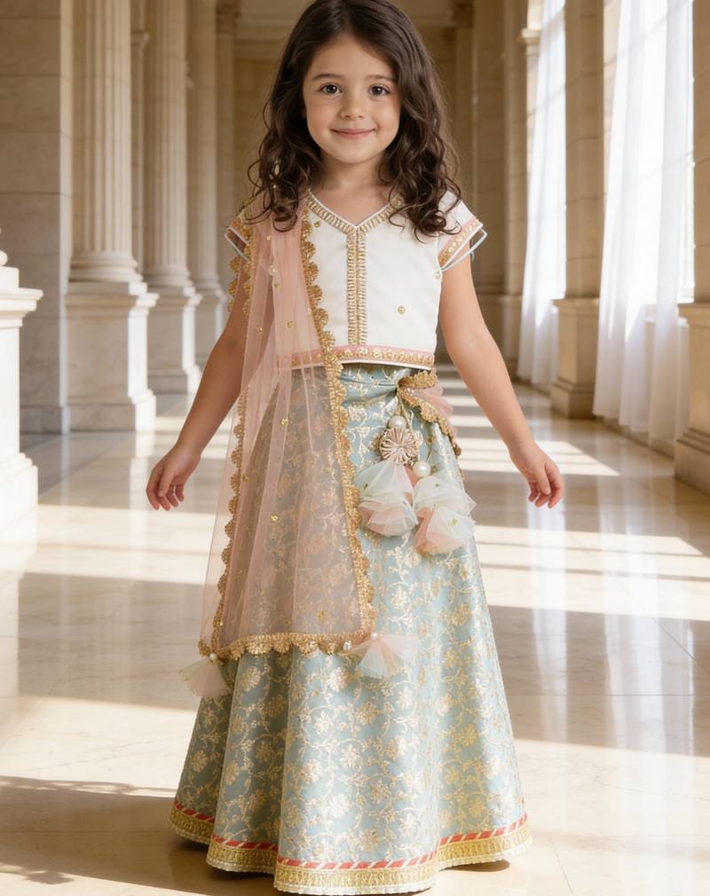 Blue And White Cotton Embroidered Lehenga 