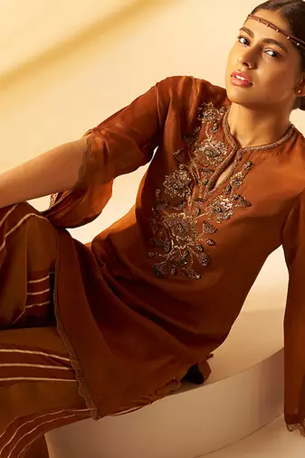 Brown embroidered organza chinon co ord set