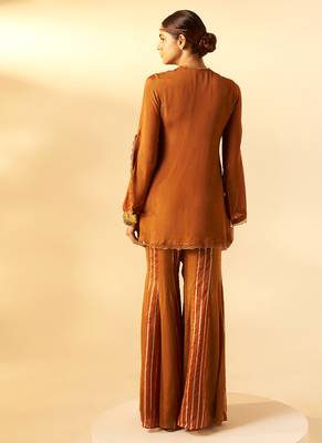 Brown embroidered organza chinon co ord set 3