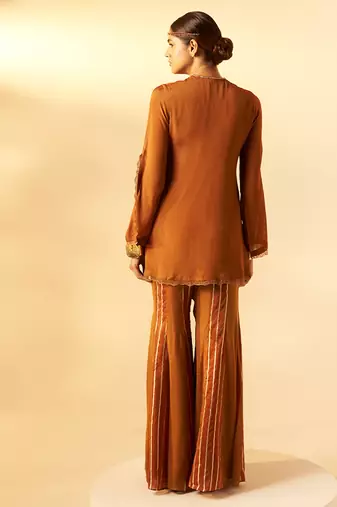 Brown embroidered organza chinon co ord set
