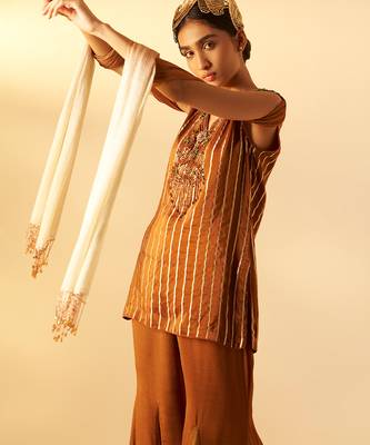 Rich brown embroidered organza co ord set 2