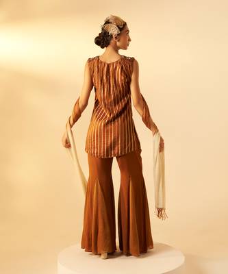 Rich brown embroidered organza co ord set 3