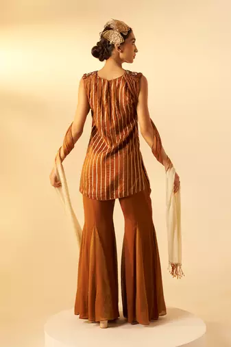 Rich brown embroidered organza co ord set