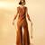 Rich brown embroidered organza co ord set