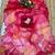 Red colour soft tebi silk digital print saree with moti handwork