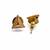 Gold plated metallic stud earrings