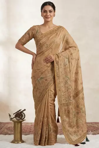 Chiku Color Digital printed, aari and khatliwork Silk Blend Saree