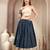 Blue graphic printed cotton flared maxi skirt for women